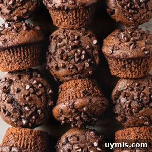 Double Chocolate Chip Muffins with Rich Cocoa Flavor 9 img 28703 8