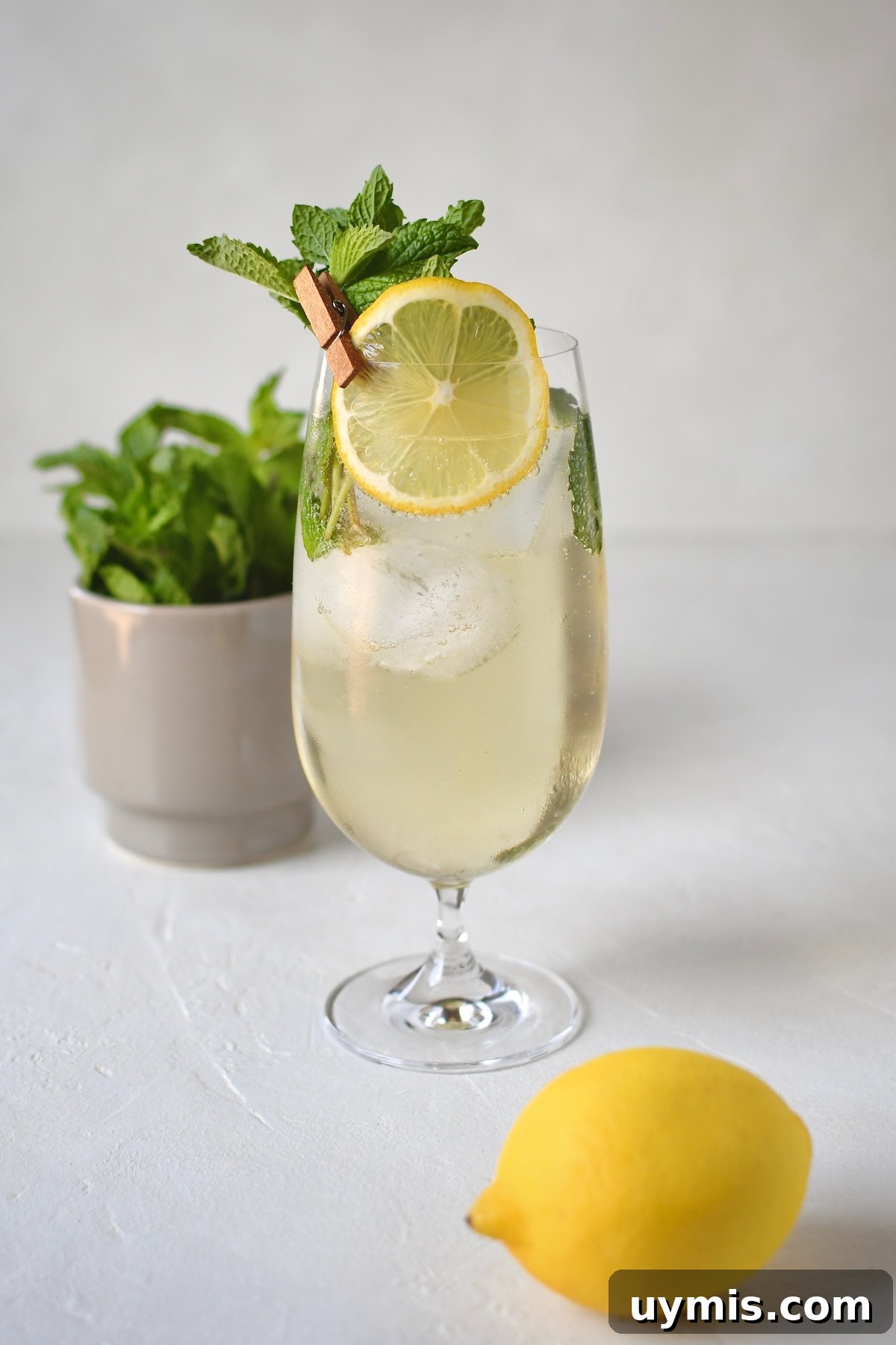 Hugo Spritz Cocktail Recipe 2 In a large glass, a Hugo Spritz Cocktail, garnished with lemon wheel and mint sprigs.