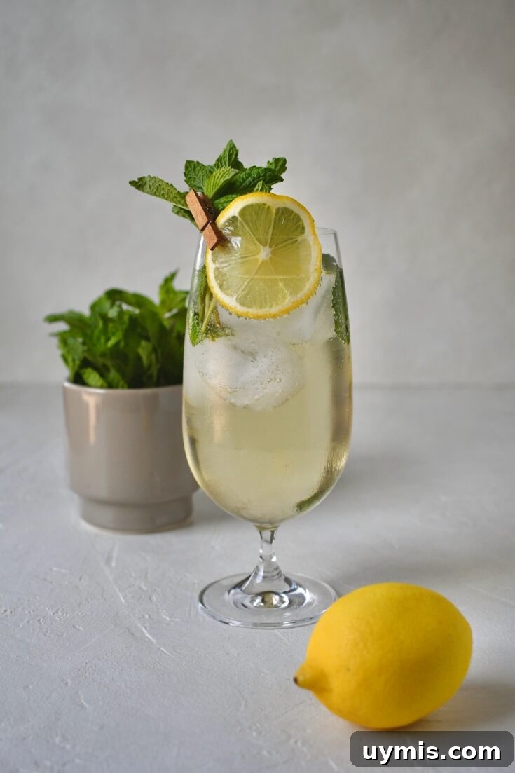 In a large glass, a Hugo Spritz Cocktail, garnished with mint sprigs and lemon wheel.