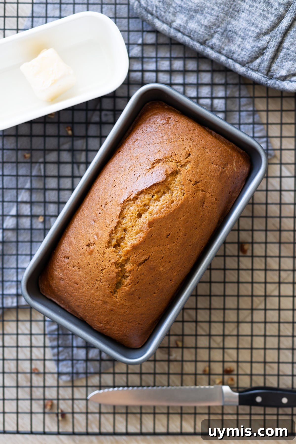 Loaf of baked pumpkin bread in a loaf pan cooling on a counter.