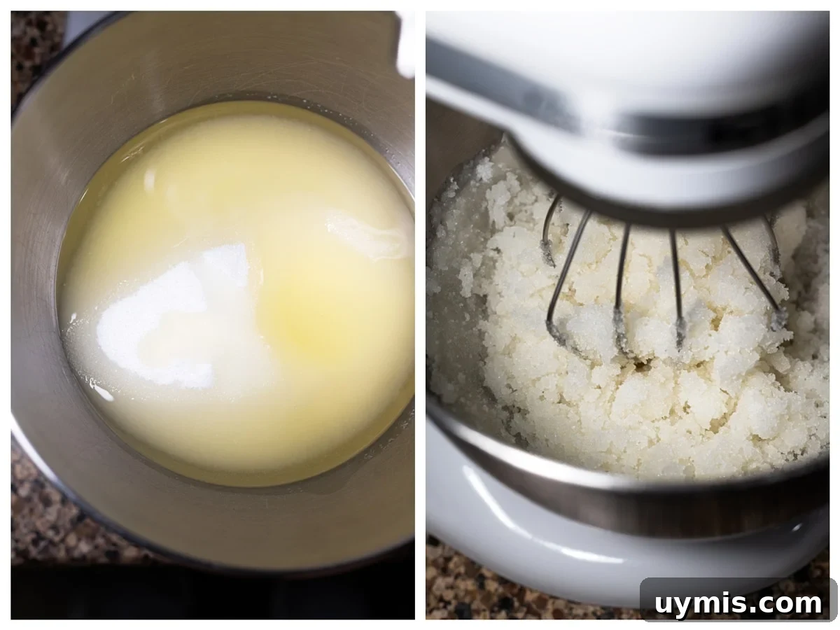 Standing mixer combining oil and sugar.