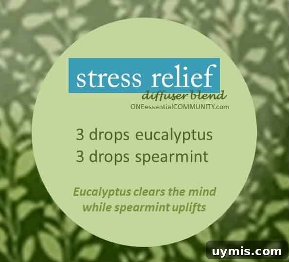 Calming Diffuser Blends for Stress Relief 3 Have frayed nerves? Need to chill out? Try these calming essential oil diffuser blends to beat stress