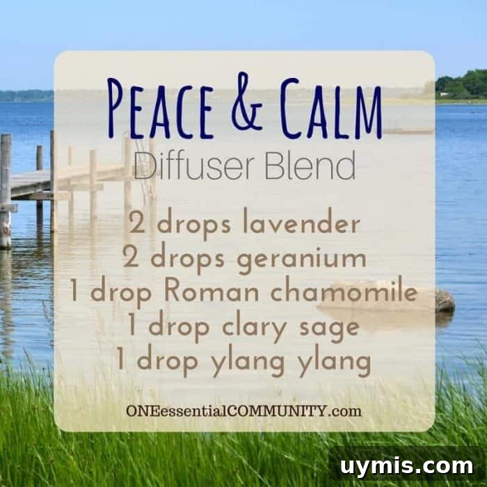 Calming Diffuser Blends for Stress Relief 8 Have frayed nerves? Need to chill out? Try these calming essential oil diffuser blends to beat stress
