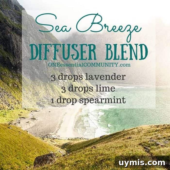 Calming Diffuser Blends for Stress Relief 9 Have frayed nerves? Need to chill out? Try these calming essential oil diffuser blends to beat stress