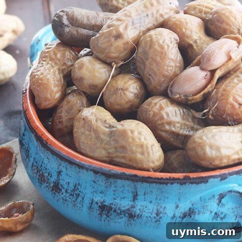 Boiled Peanuts