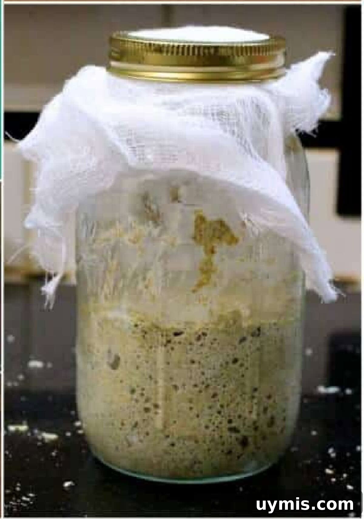 How to Make a Sourdough Starter for Homemade Bread 2 Sourdough starter in a canning jar.
