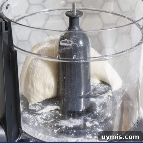 Food processor with dough inside.