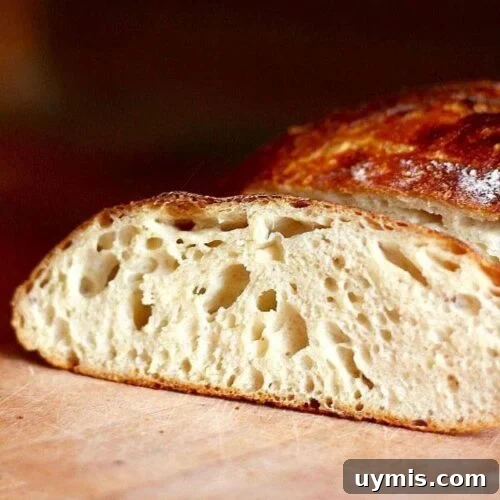 Sliced loaf of sourbread with crispy crust.