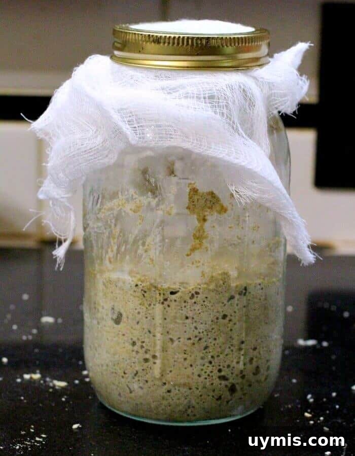 How to Make a Sourdough Starter for Homemade Bread 13 sourdough starter