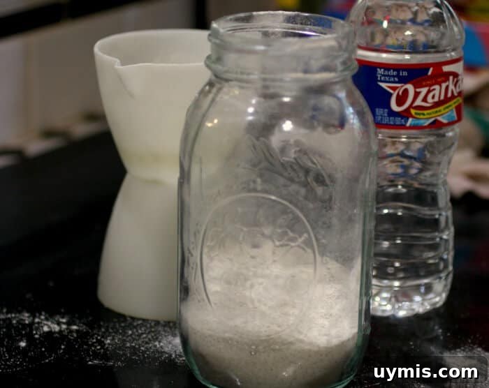 How to Make a Sourdough Starter for Homemade Bread 4 sourdough starter ingredients