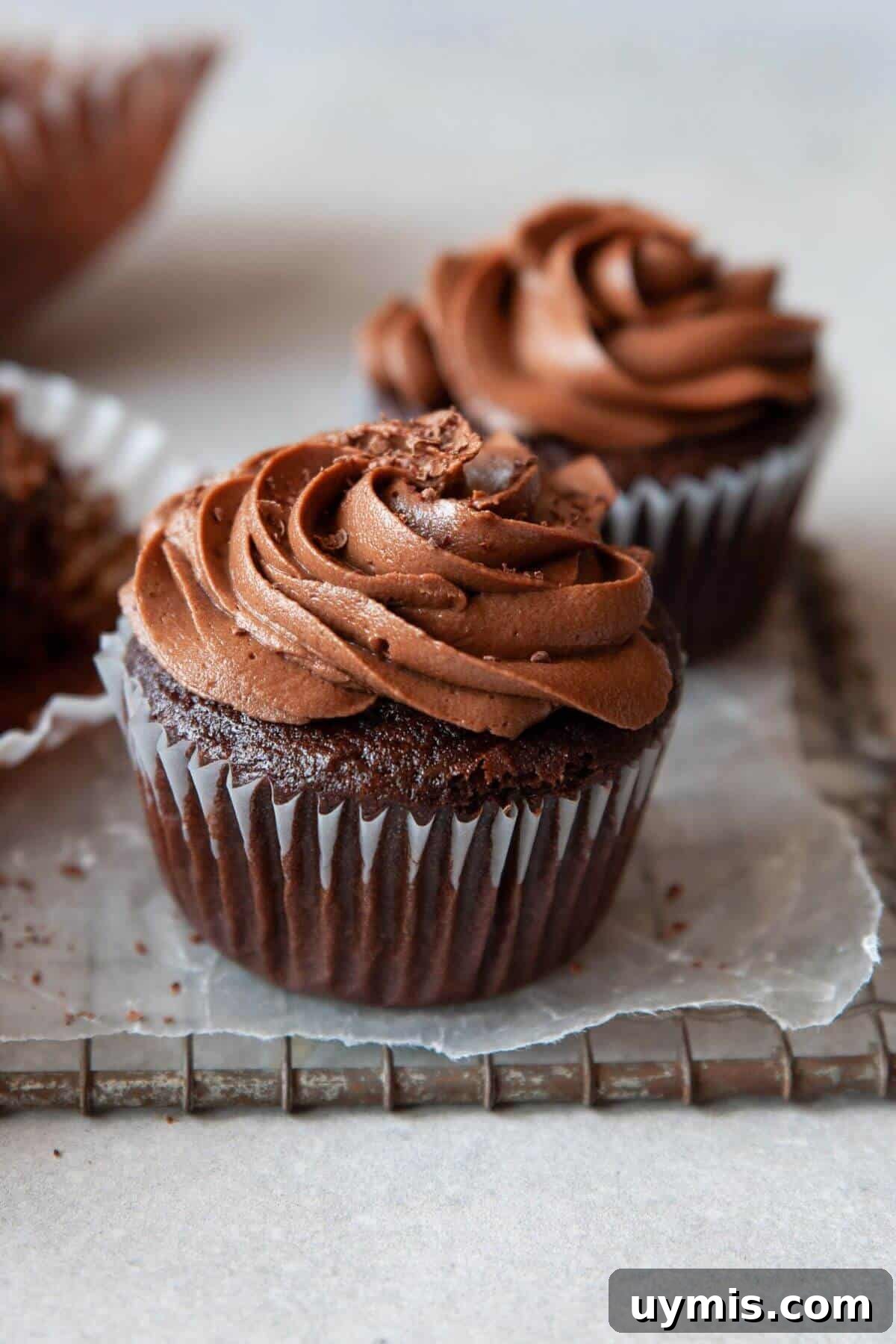 Fudgy Gluten Free Chocolate Cupcakes Recipe 2 Rich, moist gluten-free chocolate cupcakes topped with dairy-free chocolate frosting.