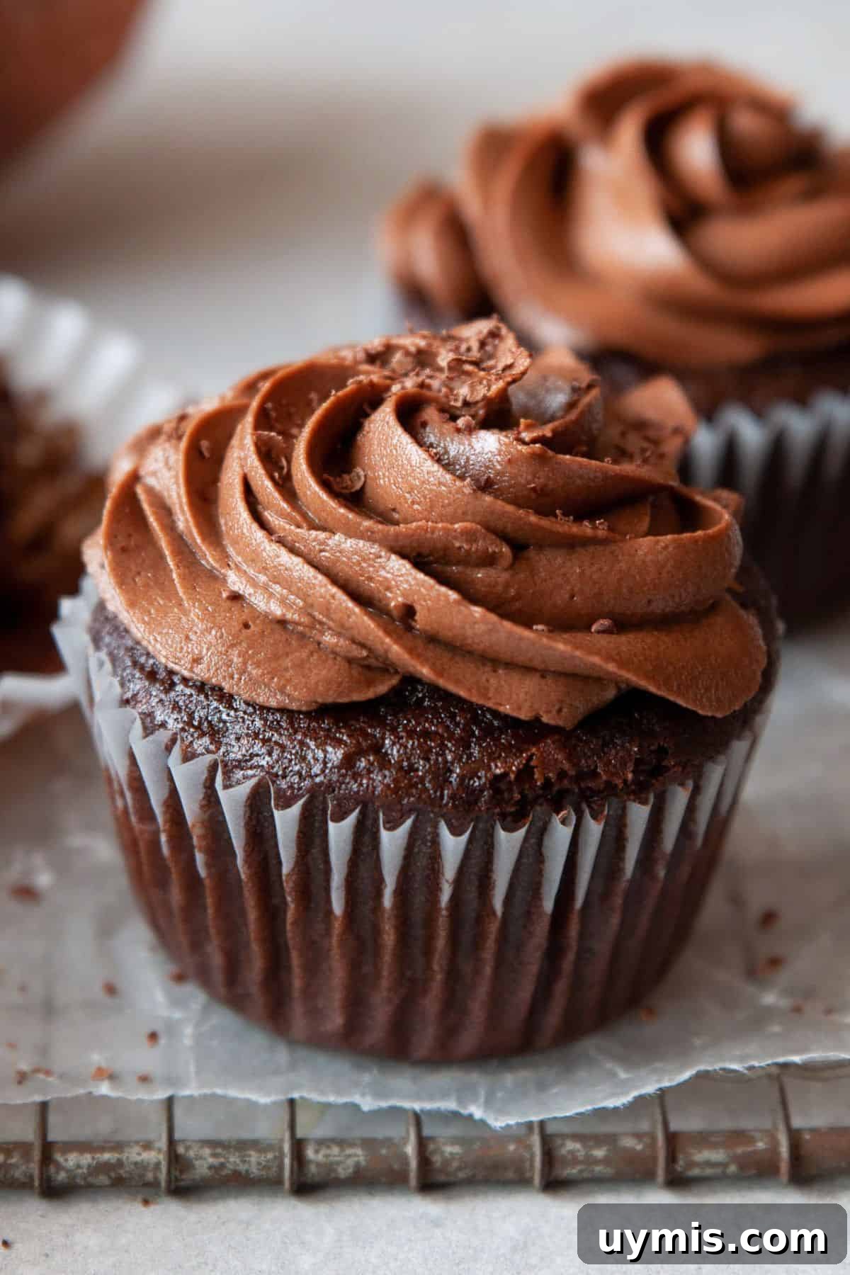 Fudgy Gluten Free Chocolate Cupcakes Recipe 11 Moist gluten-free chocolate cupcake with dairy-free chocolate frosting.