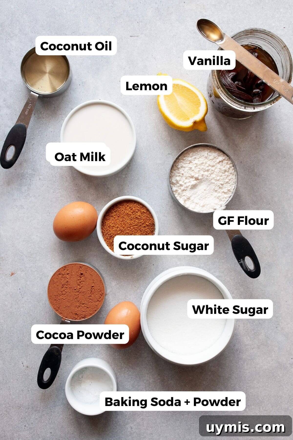 Fudgy Gluten Free Chocolate Cupcakes Recipe 3 Ingredients for gluten-free chocolate cupcakes including cocoa powder, coconut sugar, coconut oil, oat milk, gluten-free flour, eggs, and lemon.