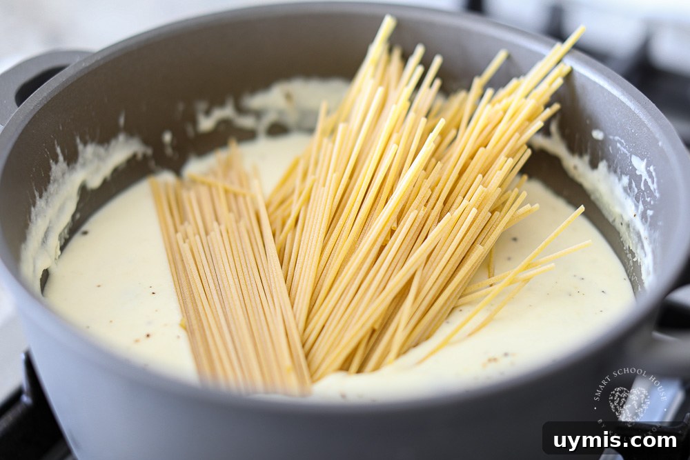 Creamy Bacon and Cream Cheese Spaghetti Recipe 6 Cheese sauce with spaghetti