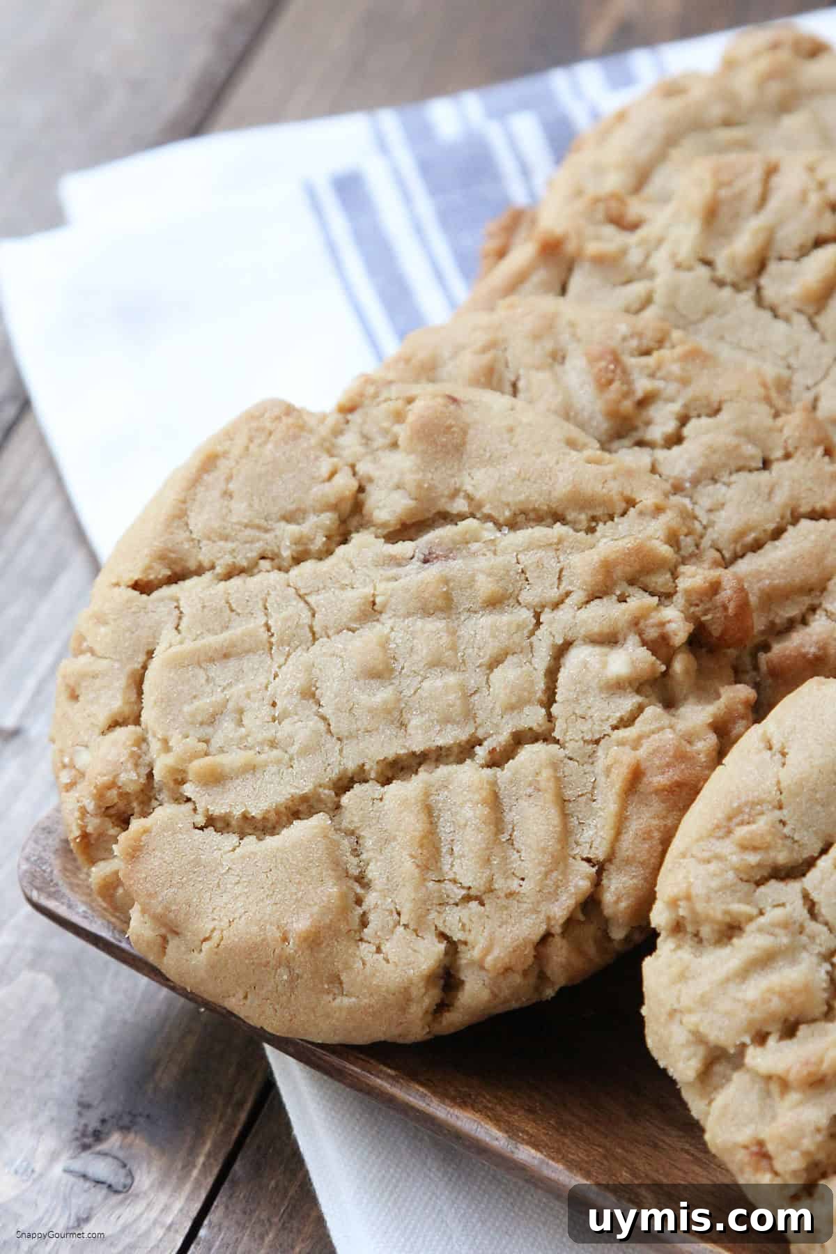 PEANUT BUTTER COOKIES closeup of large peanut butter cookie on tray