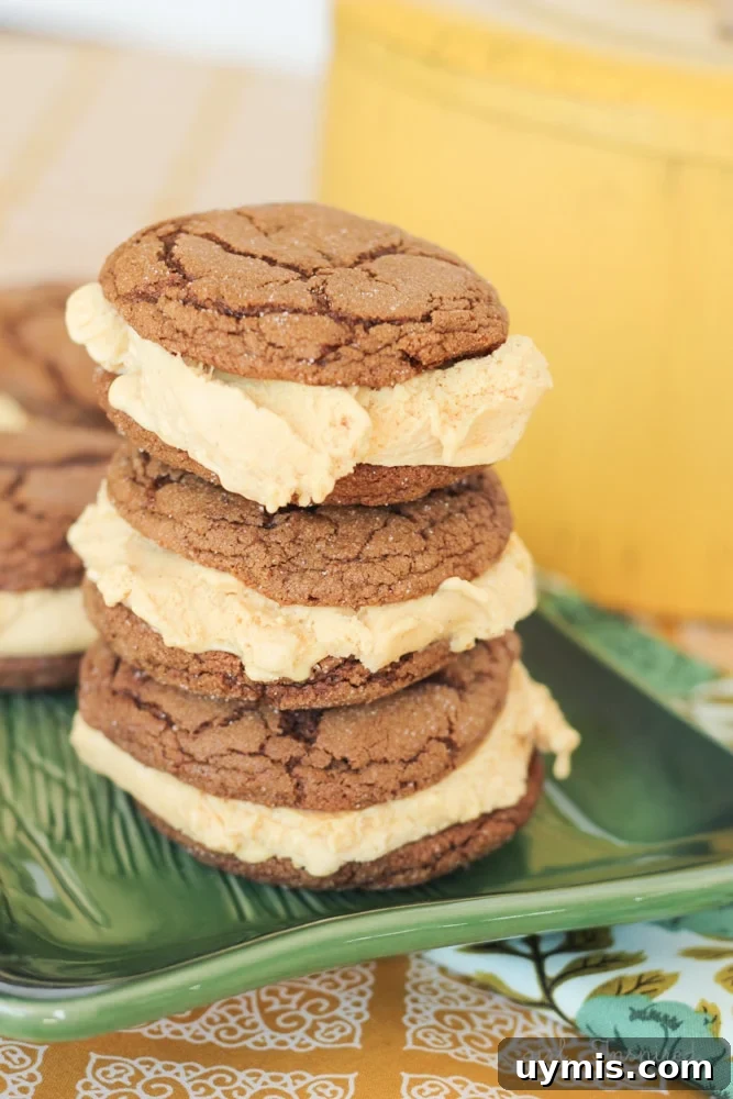 Pumpkin Ice Cream Sandwiches with Gingerbread Cookies 5 Gingerbread Cookie Recipe for Gingerbread Pumpkin ice cream sandwiches