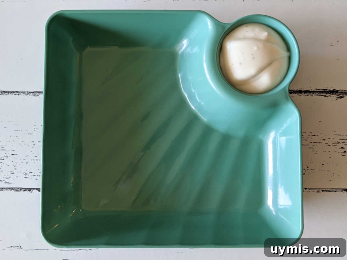 appetizer plate with dip