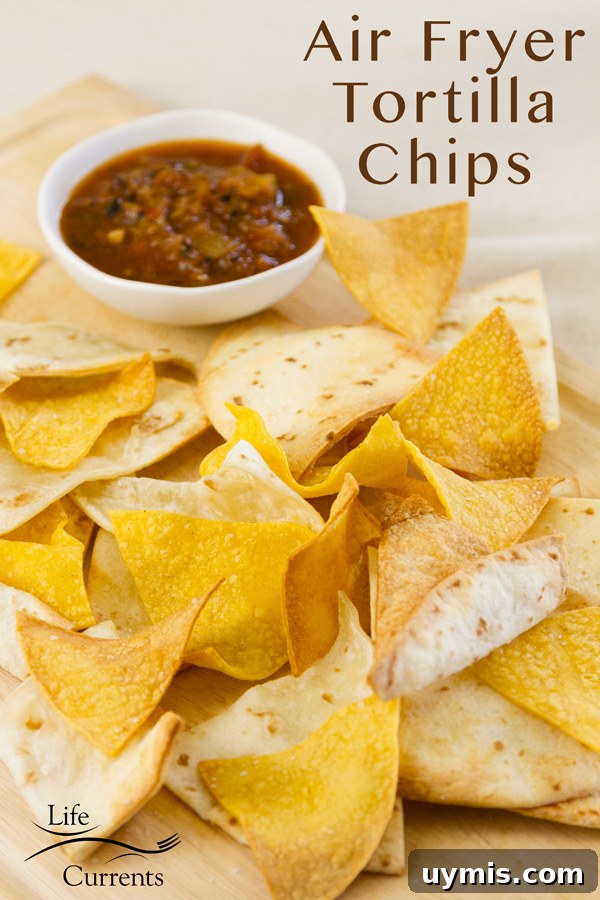 Air Fryer Tortilla Chips Fresh tortilla chips are special, no matter how good your store-bought chips are. They’re easy to make in the Air Fryer, and crispy, crunchy, and delicious. a pile of crispy tortilla chips cooked in the air fryer served with salsa