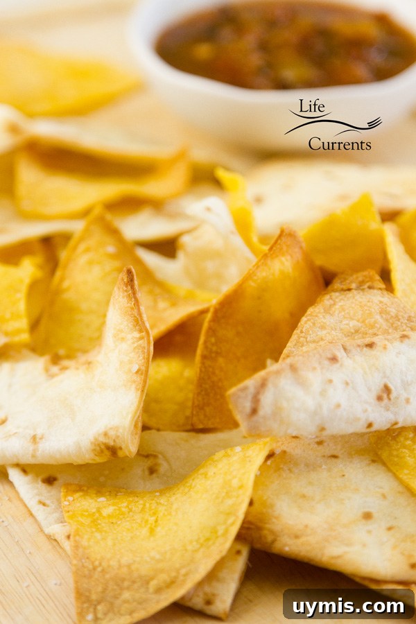 Air Fryer Tortilla Chips - I also like that making my own means I can control how much salt is on the chips. So many of the store-bought ones are loaded with salt now that I can barely eat them. tortilla cips, both corn and flour, served with salsa
