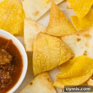 Crispy Air Fryer Tortilla Chips 2 some chips and salsa
