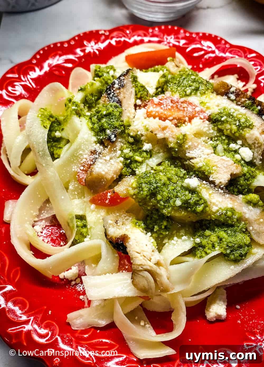 2 Ingredient Keto Pasta Recipe for Low Carb Noodles 7 2 Ingredient Keto Pasta noodles served on a red plate