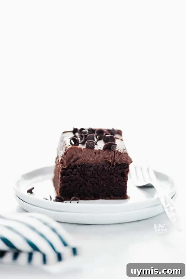 Gluten-Free Chocolate Pumpkin Cake Recipe 7 A slice of gluten free chocolate pumpkin cake on a stack of white plates