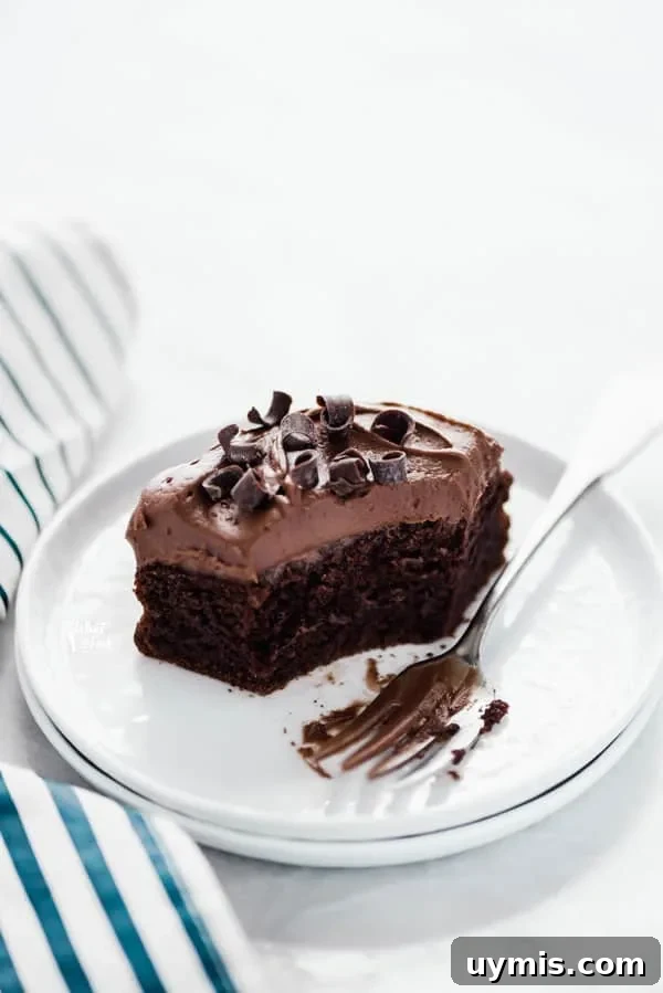Gluten-Free Chocolate Pumpkin Cake Recipe 8 A slice of gluten free chocolate pumpkin cake with a bite taken