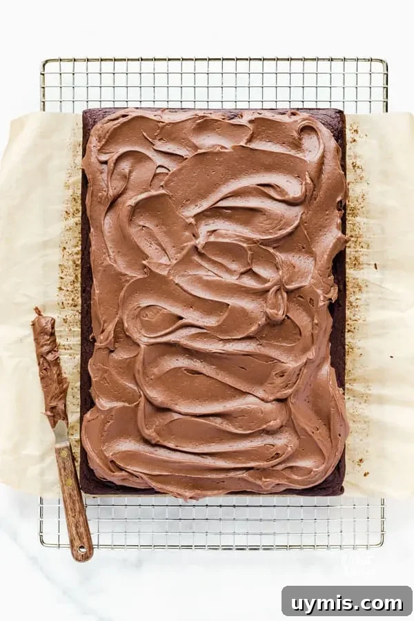 Gluten-Free Chocolate Pumpkin Cake Recipe 3 Chocolate cream cheese frosting spread on a chocolate sheet cake