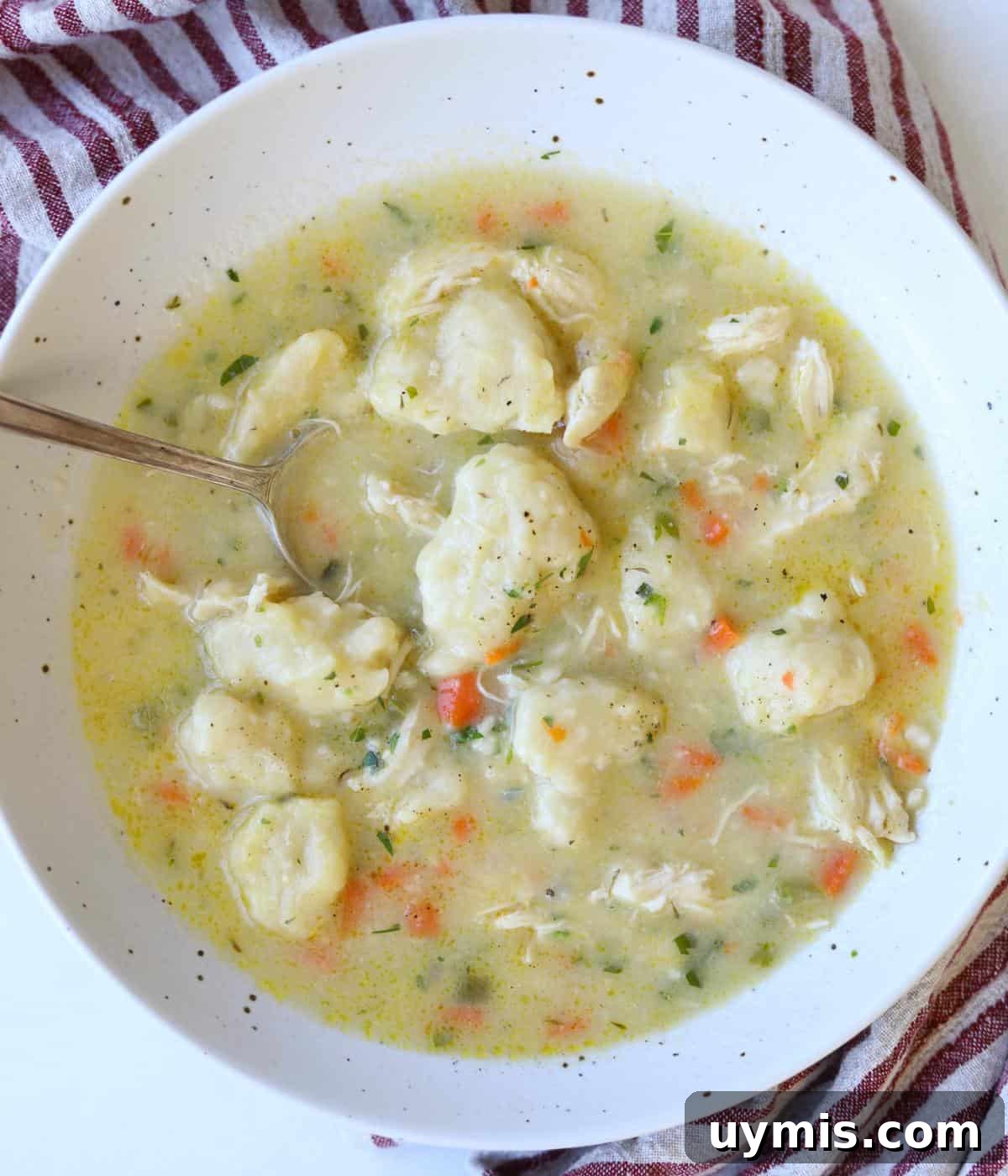 large white speckled bowl full of chicken and dumplings