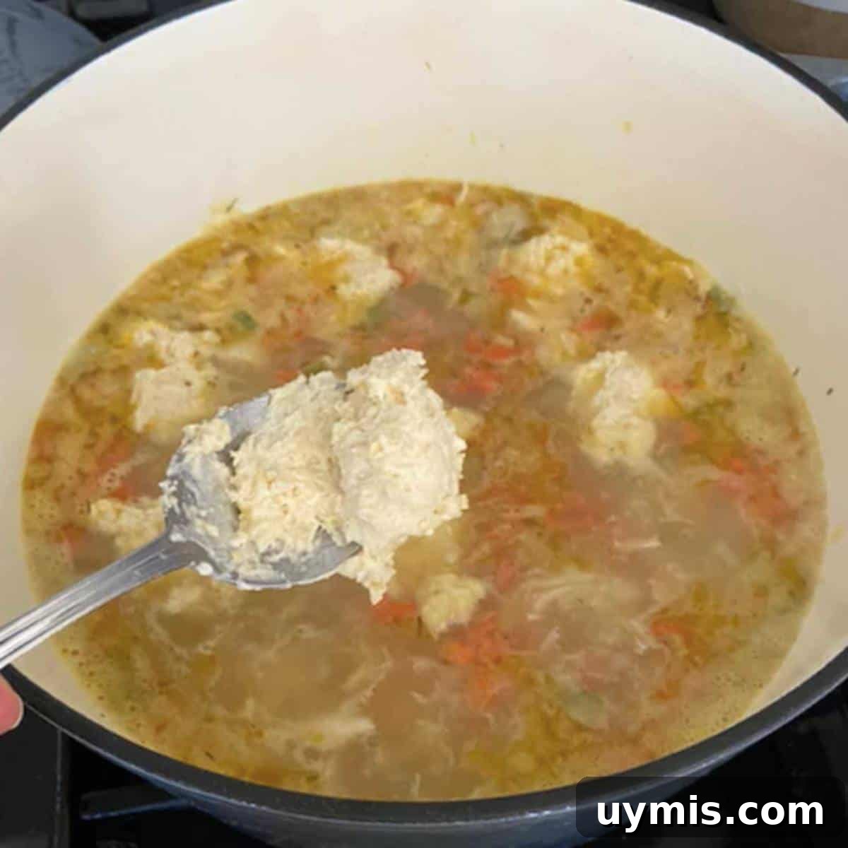Spoon about to drop dumpling into soup.