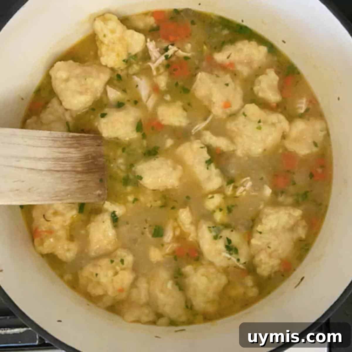 Dumplings cooking in chicken soup.