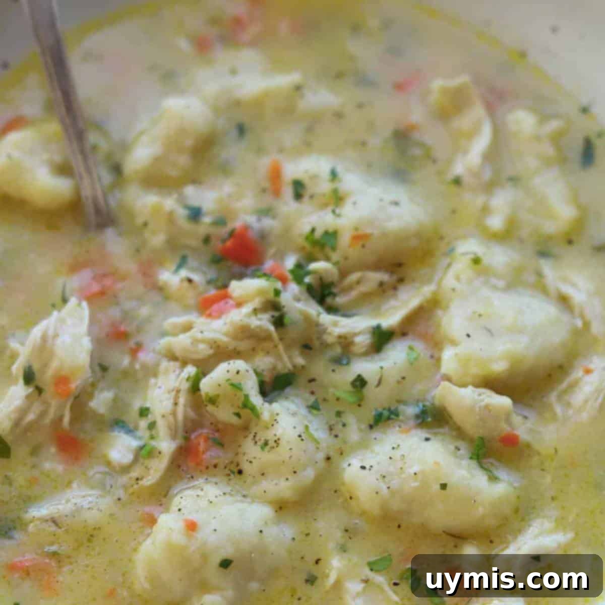 Creamy chicken dumpling soup topped with parsley.