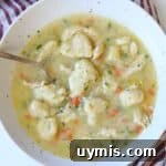 large white speckled bowl full of chicken and dumplings