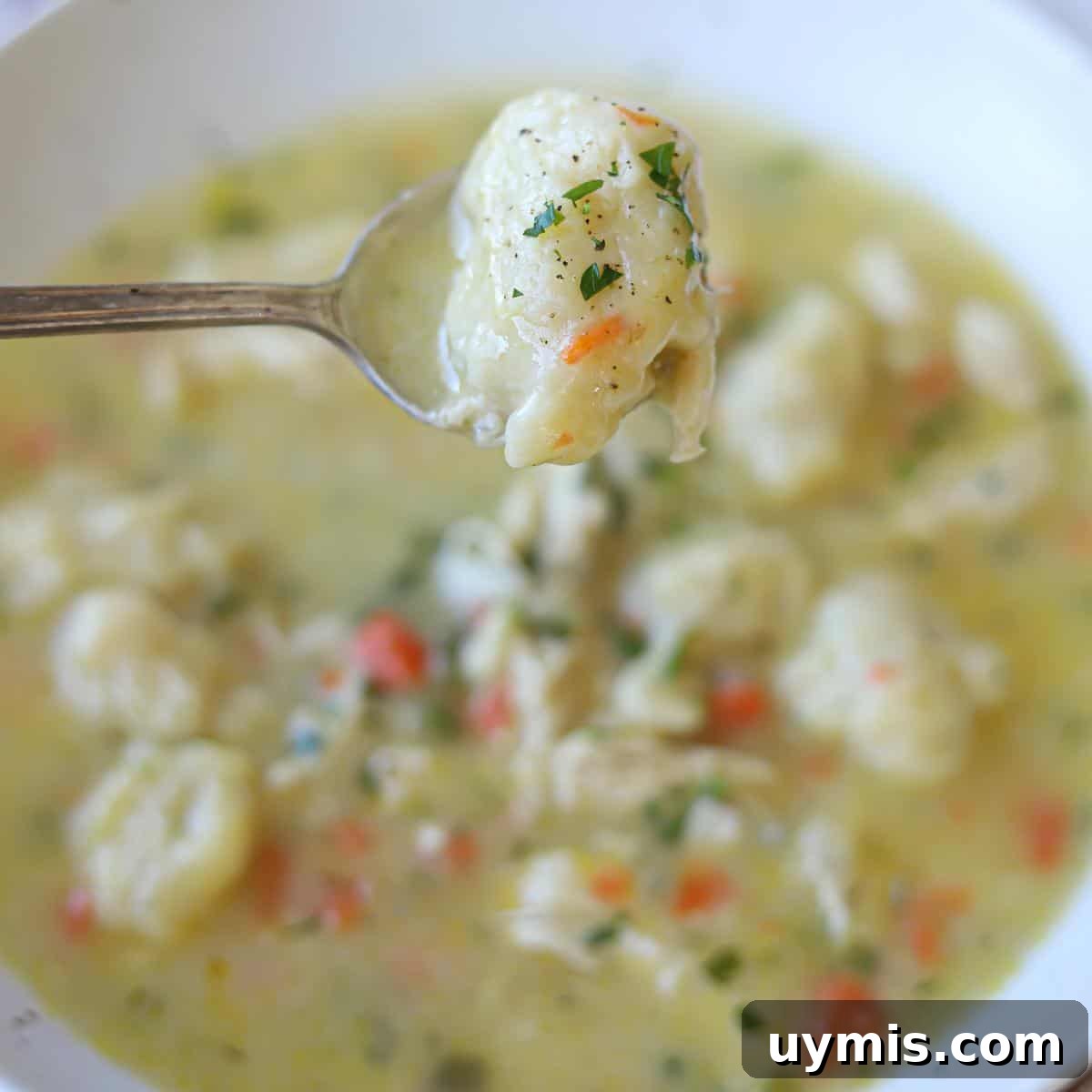 spoon holding dumpling