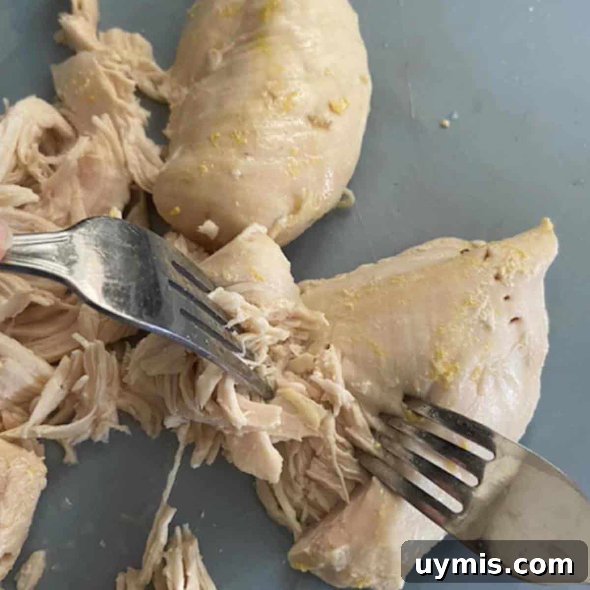 Two forks shredding chicken.