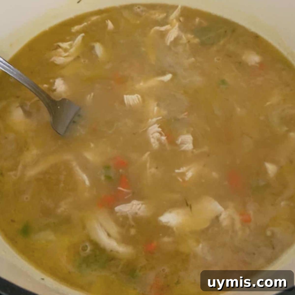 Chicken soup in dutch oven.