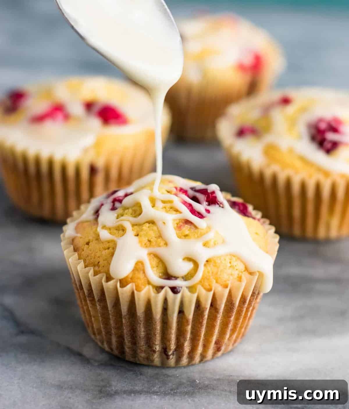 Cranberry Cream Cheese Muffins Recipe 2 Cranberry cream cheese muffins with glaze, perfect for a homemade Christmas breakfast