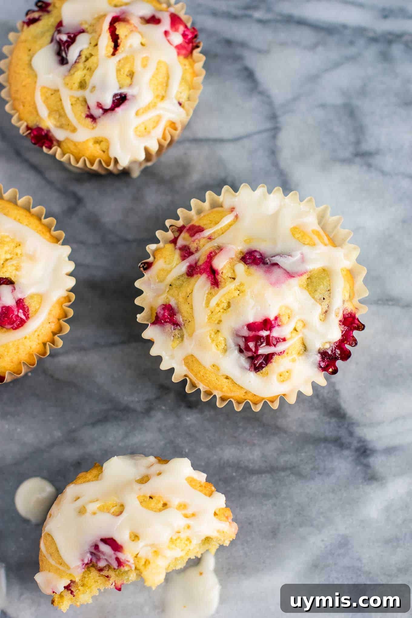 Cranberry Cream Cheese Muffins Recipe 3 Fresh cranberry cream cheese muffins for Christmas breakfast