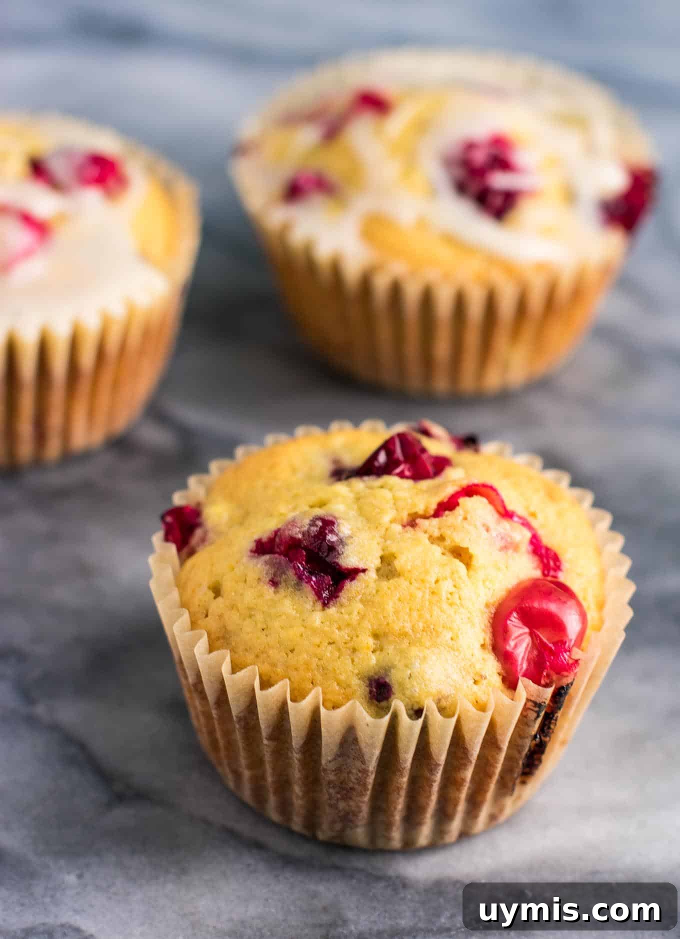 Cranberry Cream Cheese Muffins Recipe 4 Homemade cranberry cream cheese muffin batter with fresh cranberries