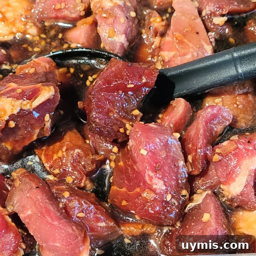 Teriyaki Steak Fried Rice meat in the marinade 