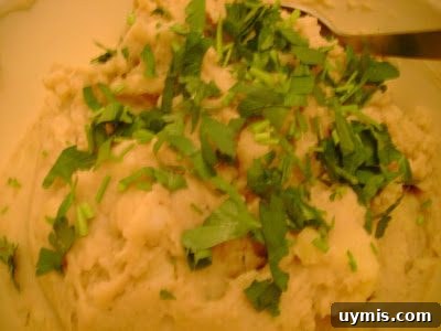 Garlic mashed potatoes from the 2008 Chef Spotlight Dinner