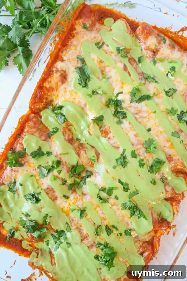 Baked Red Chicken Enchiladas with Creamy Avocado Sauce 2 Baked Red Chicken Enchiladas (with Creamy Avocado Sauce Drizzle)