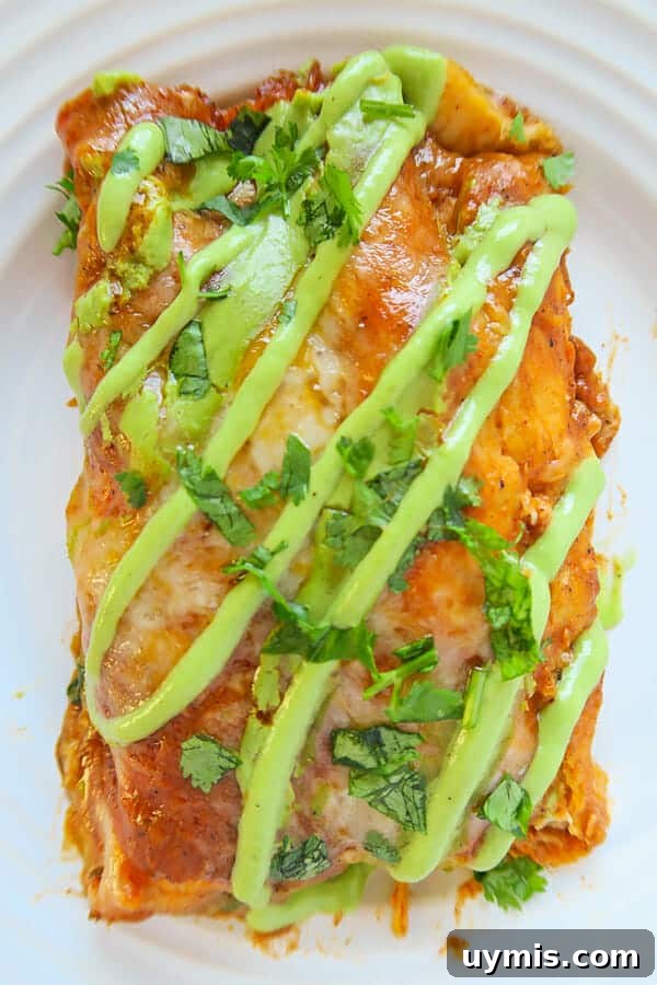 Baked Red Chicken Enchiladas with Creamy Avocado Sauce 3 Baked Red Chicken Enchiladas (with Creamy Avocado Sauce Drizzle)