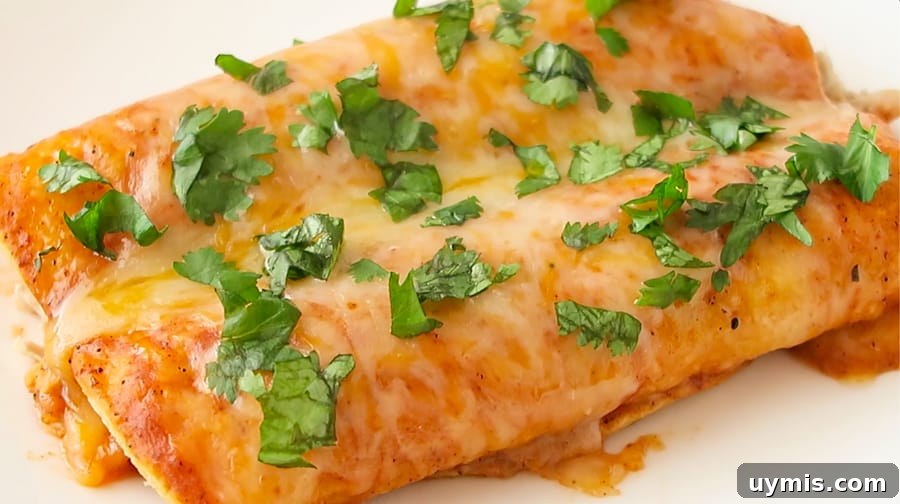 Baked Red Chicken Enchiladas with Creamy Avocado Sauce 7 easy baked red chicken enchiladas topped with cilantro