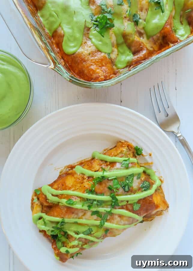 Baked Red Chicken Enchiladas with Creamy Avocado Sauce 8 Overhead shot of the Baked Red Chicken Enchiladas (with Creamy Avocado Sauce Drizzle)