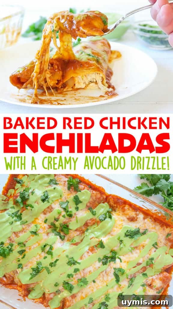 Baked Red Chicken Enchiladas with Creamy Avocado Sauce 11 Baked Red Chicken Enchiladas (with Creamy Avocado Sauce)