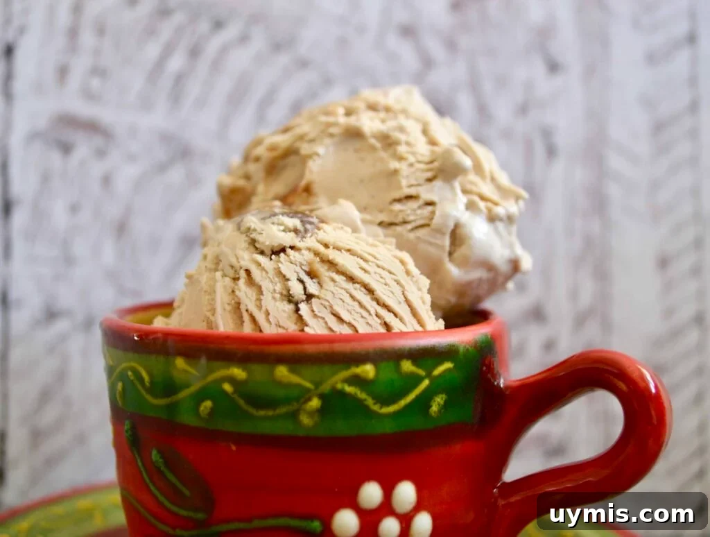 10 Gluten Free and Dairy Free Ice Cream Recipes 2 coffee ice cream