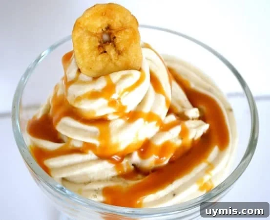 10 Gluten Free and Dairy Free Ice Cream Recipes 11 banana ice cream