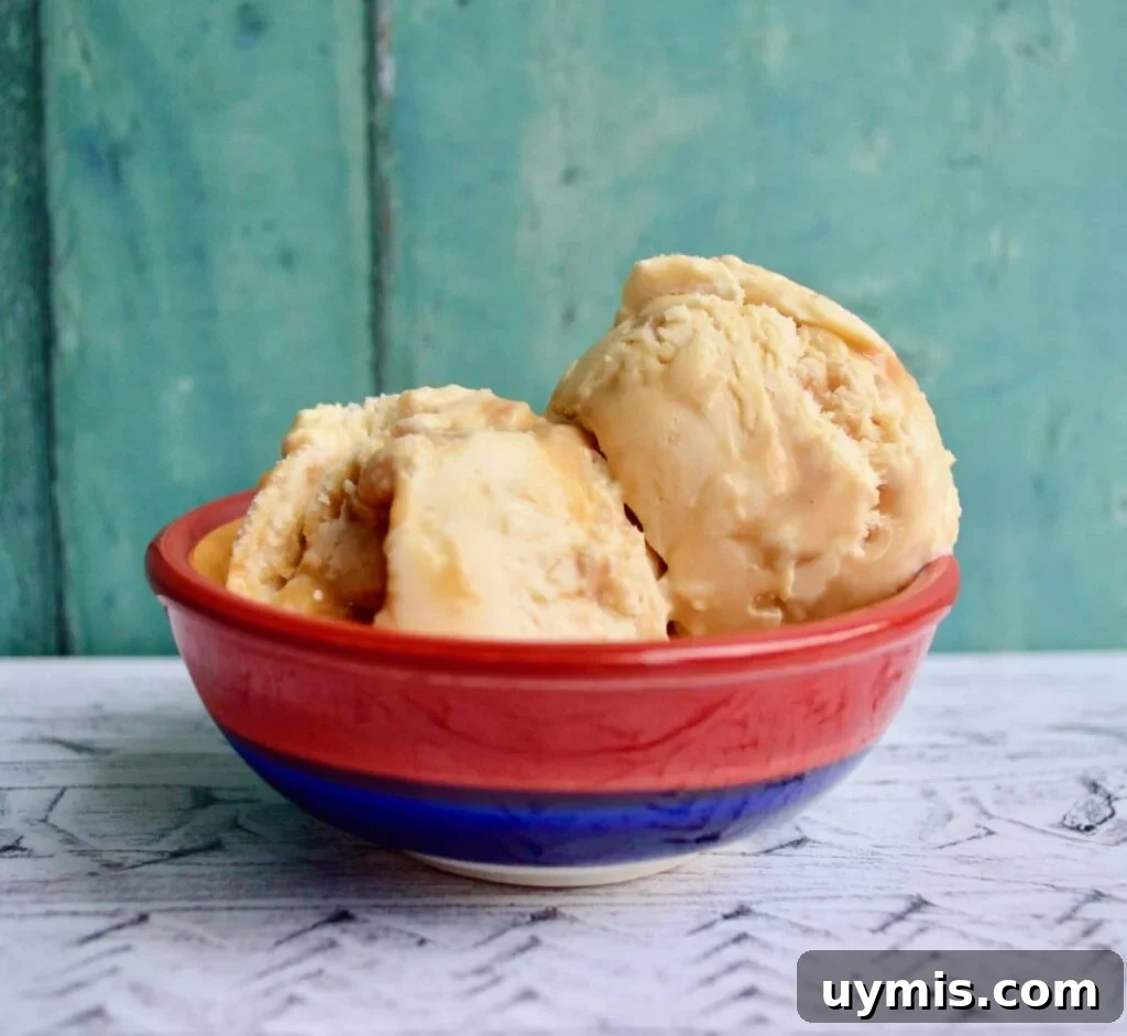 10 Gluten Free and Dairy Free Ice Cream Recipes 4 salted caramel ice cream
