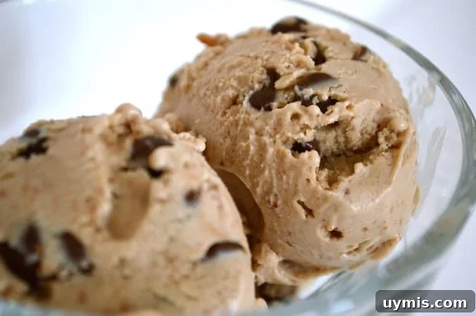 10 Gluten Free and Dairy Free Ice Cream Recipes 6 peanut butter ice cream